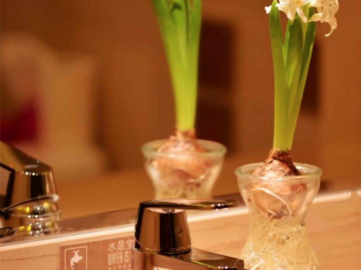 Greentree Inn Beijing Dongcheng District Wangfujin South Luogu Lane Houhai Express Hotel Extérieur photo